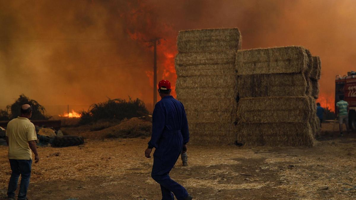 Imágenes del incendio originado en Lober de Aliste.