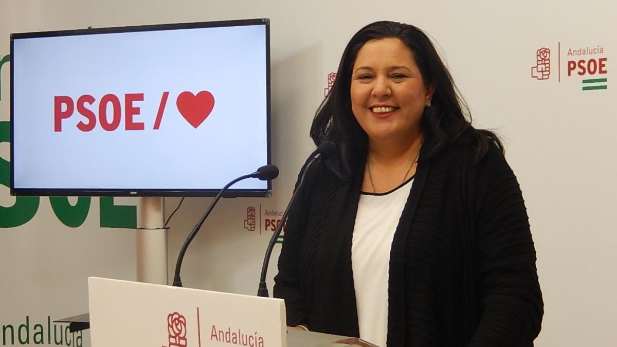 El PSOE se presenta como el &quot;único proyecto de futuro&quot; frente a la &quot;involución&quot; de la derecha