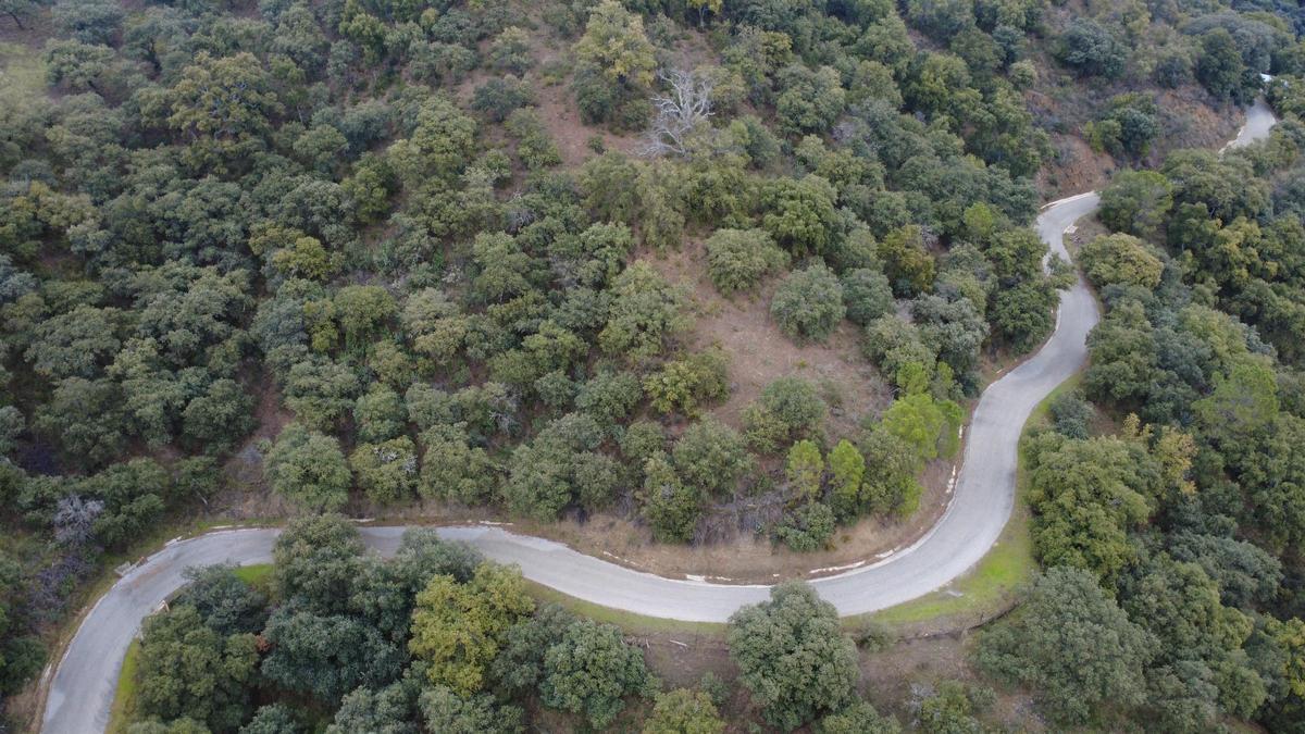 Camino objeto de la actuación.