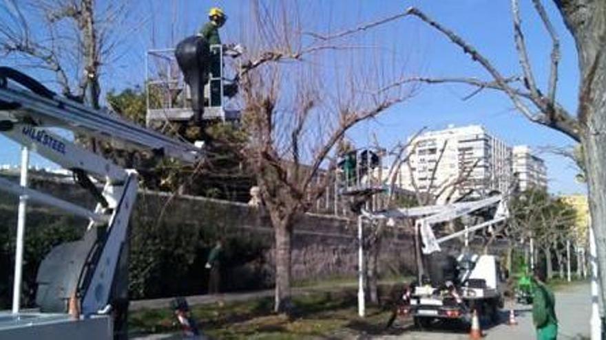 El año de las 10.024  peticiones vecinales