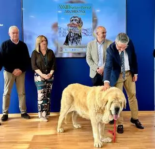 Archidona celebra este fin de semana la 33 edición de la Feria del Perro que reunirá más de 1.000 canes de más de 80 razas