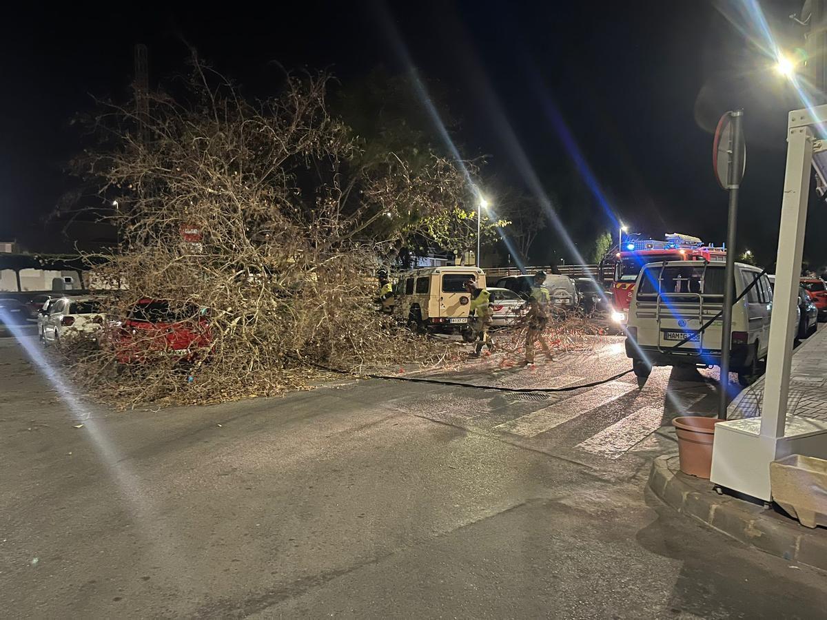 Operarios trabajan de madrugada en la zona donde cayeron los árboles en Águilas por la fuerza de 'Herminia'.