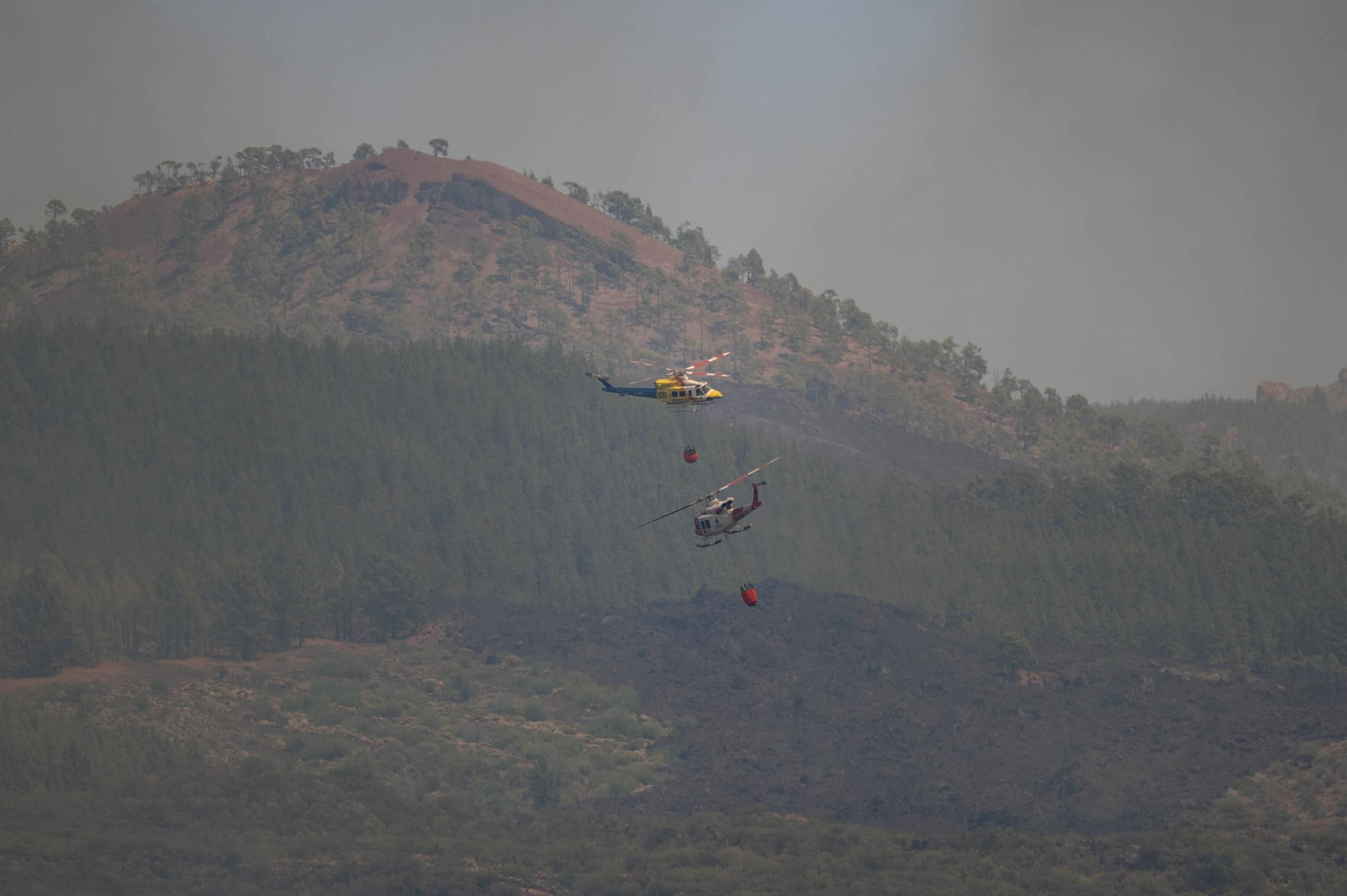 Imágenes del incendio declarado en El Tanque