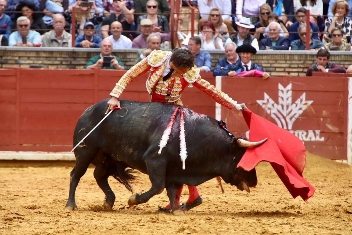 Roca Rey, esta mañana en plena faena en el coso de los Califas de Córdoba.