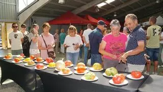 Los tomates alistanos, referente de calidad