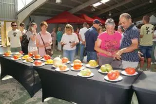 GALERÍA | Aliste elige el mejor tomate de la comarca: casi un kilo y medio de sabor procedente de Palazuelo de las Cuevas