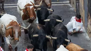 Rápido y peligroso penúltimo encierro con toros de La Palmosilla
