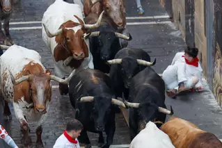 Séptimo encierro de los Sanfermines 2025 con toros de La Palmosilla