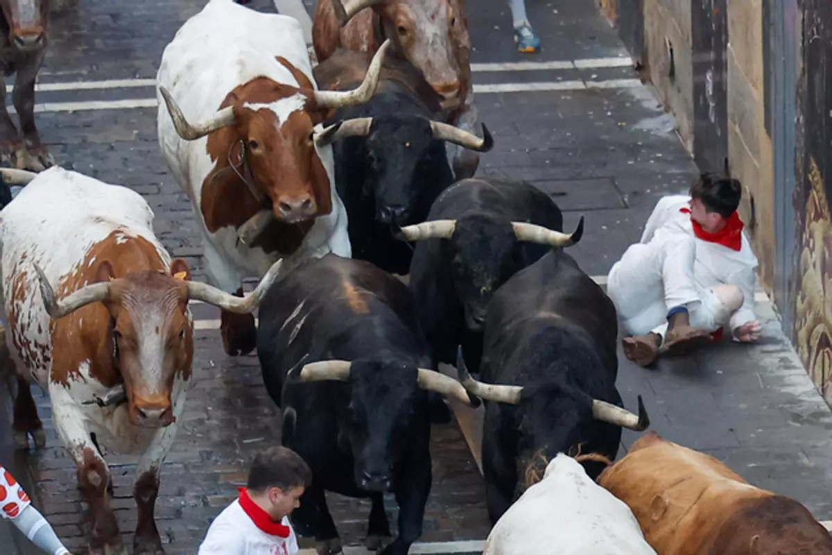 Séptimo encierro de los Sanfermines 2025 con toros de La Palmosilla