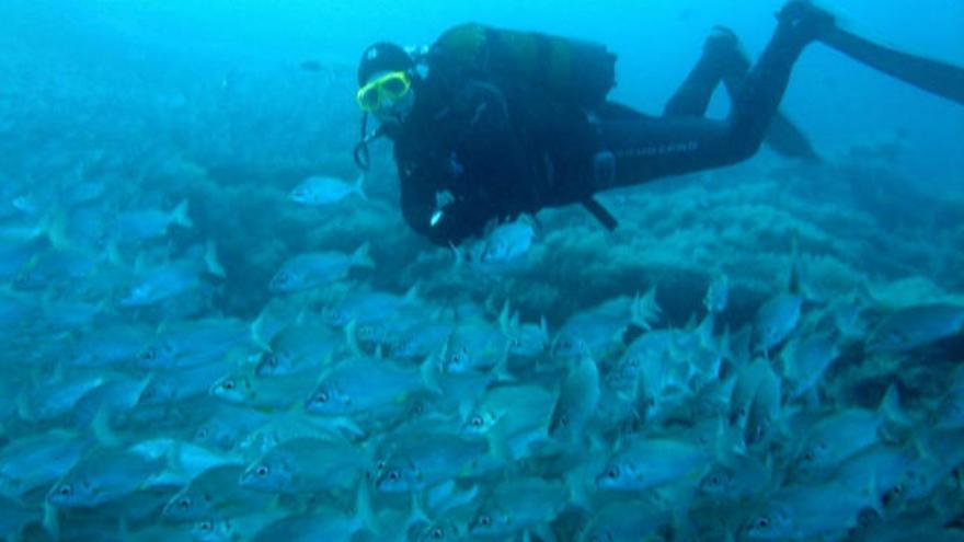 La Guardia Civil denuncia nueve infracciones en centros de buceo