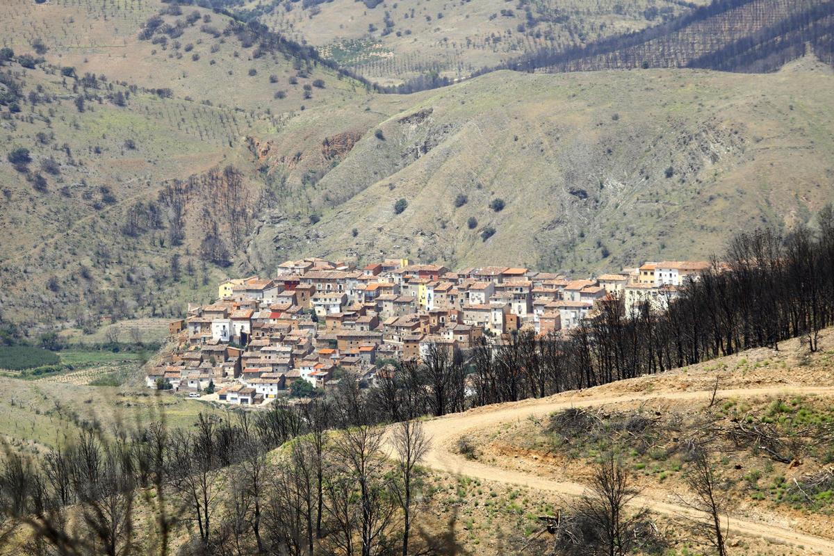 En imágenes | Así está Ateca un año después del incendio forestal que afectó a 14.000 hectáreas En imágenes | Así está Ateca un año después del incendio forestal que afectó a 14.000 hectáreas