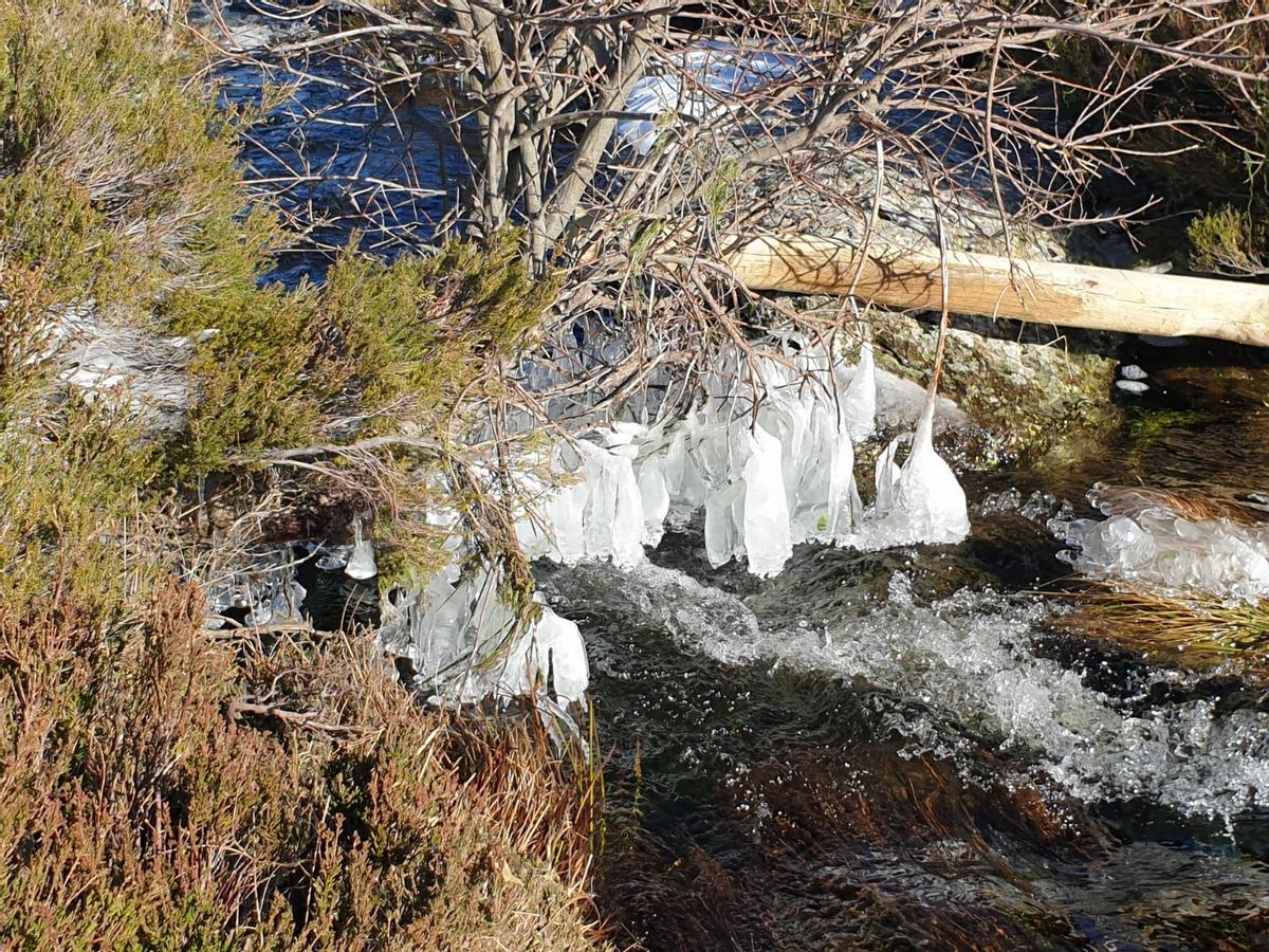 Grandes chupiteles en una zona de la laguna de Peces.