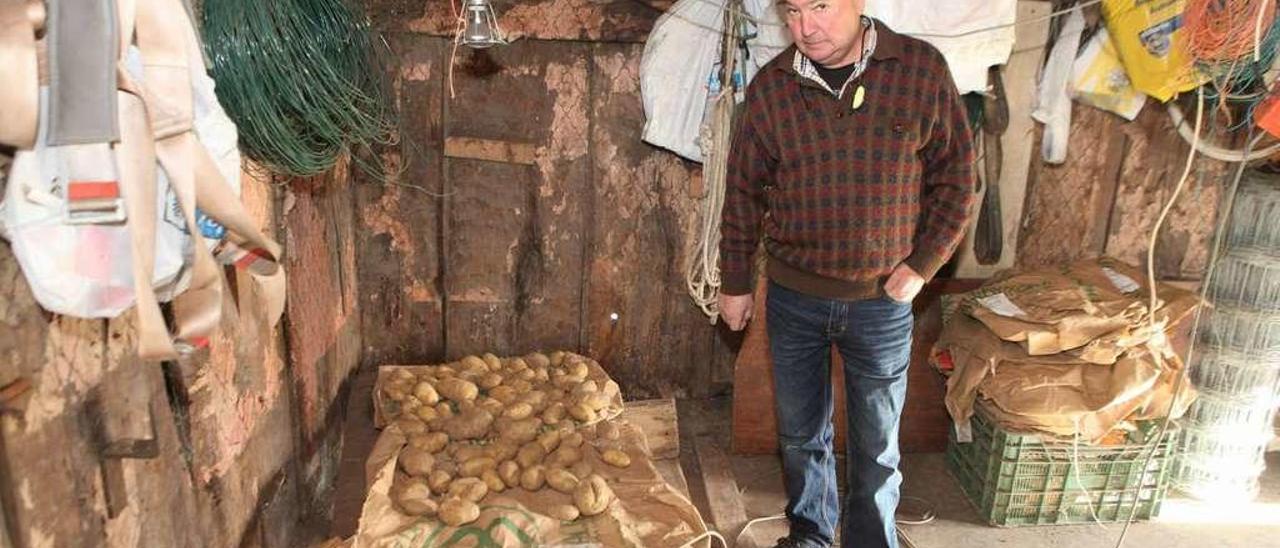 Antonio Puertas muestra patatas compradas en la frutería, que ahora guarda en el hórreo.