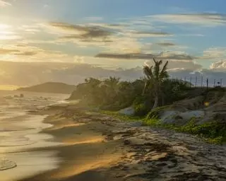 Esta es la isla del Caribe con la bahía bioluminiscente más brillante del mundo
