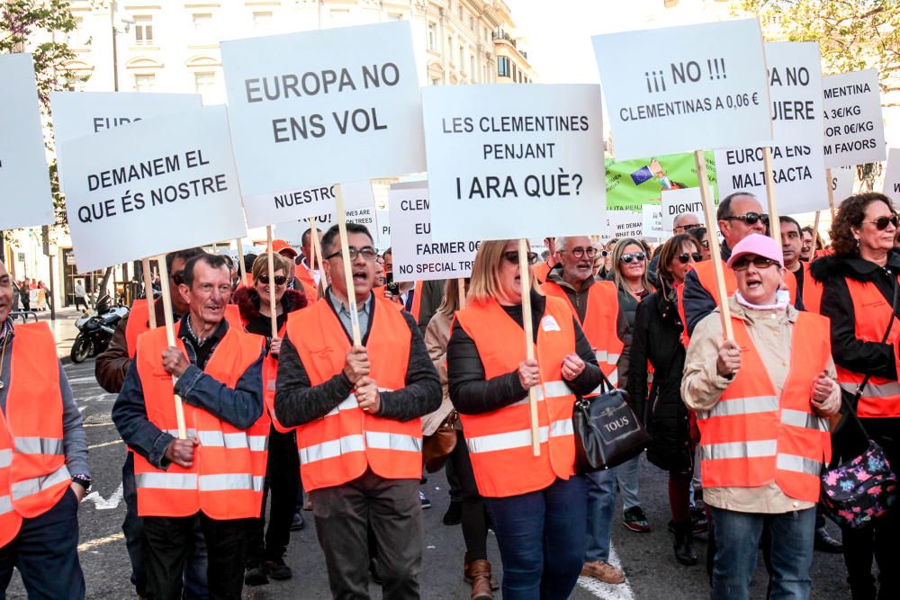 Manifestación en defensa del sector citrícola