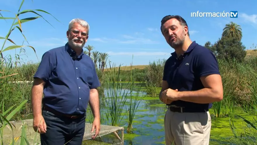 Documental sobre El Clot de Galvany en Elche y La Marjal de Alicante