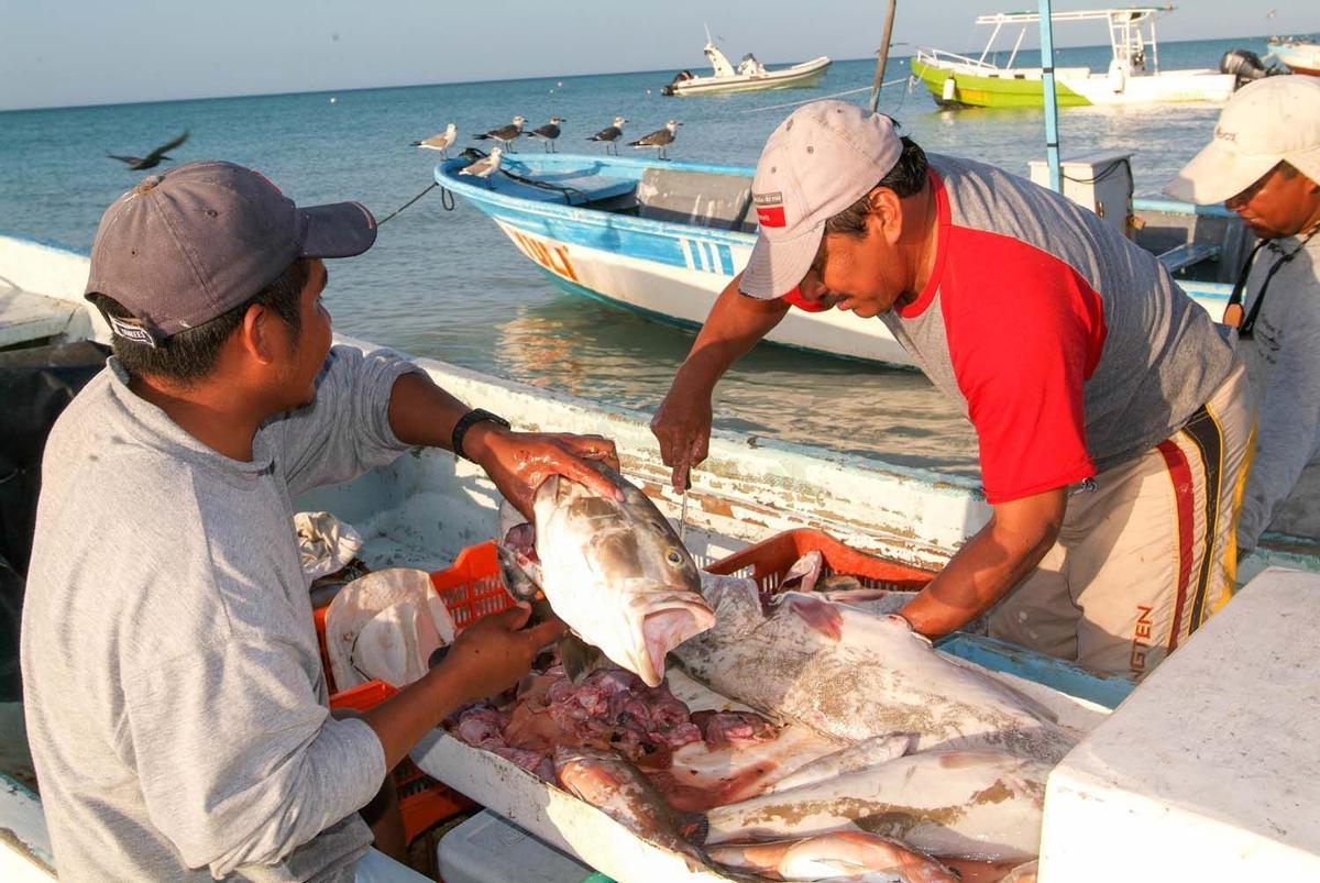 Pescadores en la playa de Holbox