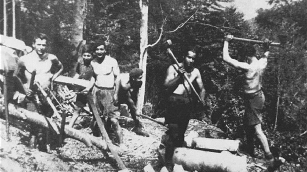 Trabajadores españoles exiliados, trabajando de leñadores en un bosque francés. Imagen del libro de Evelyn Mesquida ’Y ahora, volved a vuestras casas’.