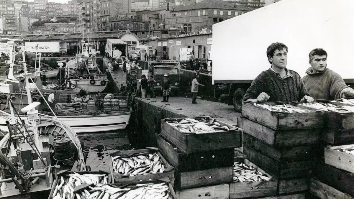 El puerto de Vigo: una transformación a golpe de mar