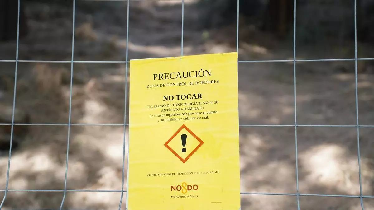 Trabajadores del servicio Zoosanitario denuncian estar cerca del "colapso": "Esto está favoreciendo al aumento de plagas de ratas o el avispón"
