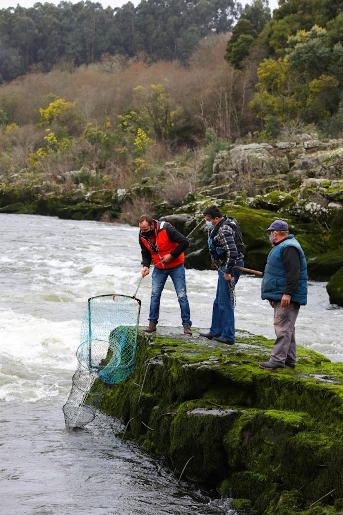 Pescadores en una &quot;pesqueira&quot; en el río Miño. / ANXO GUTIÉRREZ