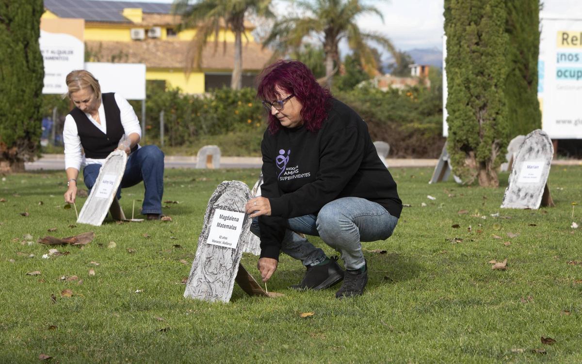 Anterior iniciativa de la asociación.