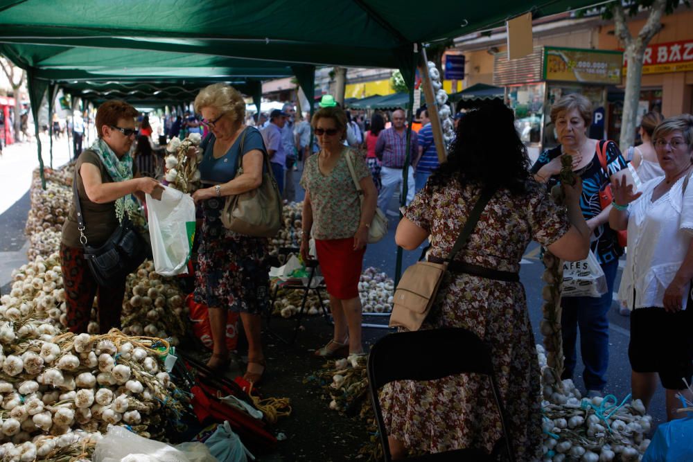 San Pedro 2016: Feria del Ajo