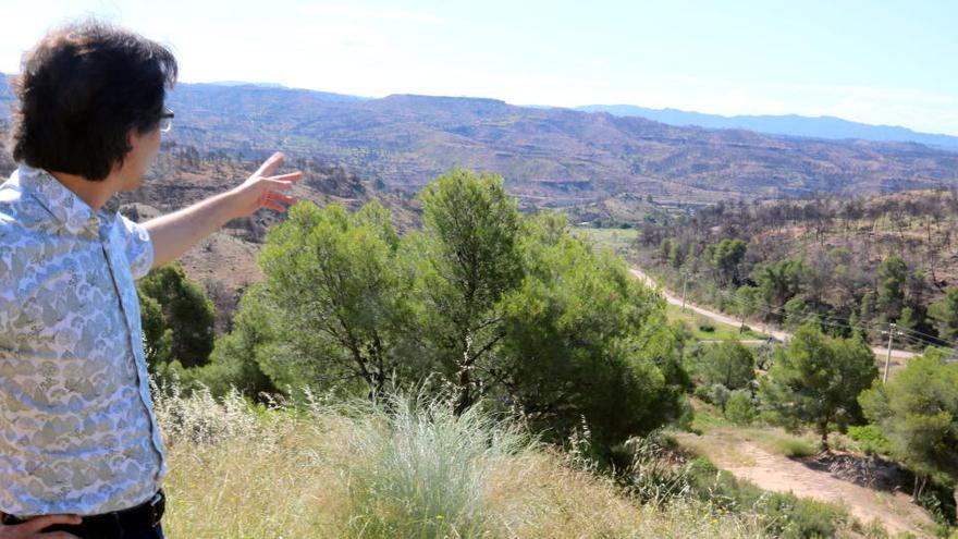 L&#039;alcalde de Flix, Francesc Barbero, assenyalant una de les zones cremades per l&#039;incendi