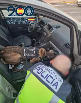 Detenido en Benidorm con 119 gramos de cocaína en un control policial cerca de la zona inglesa