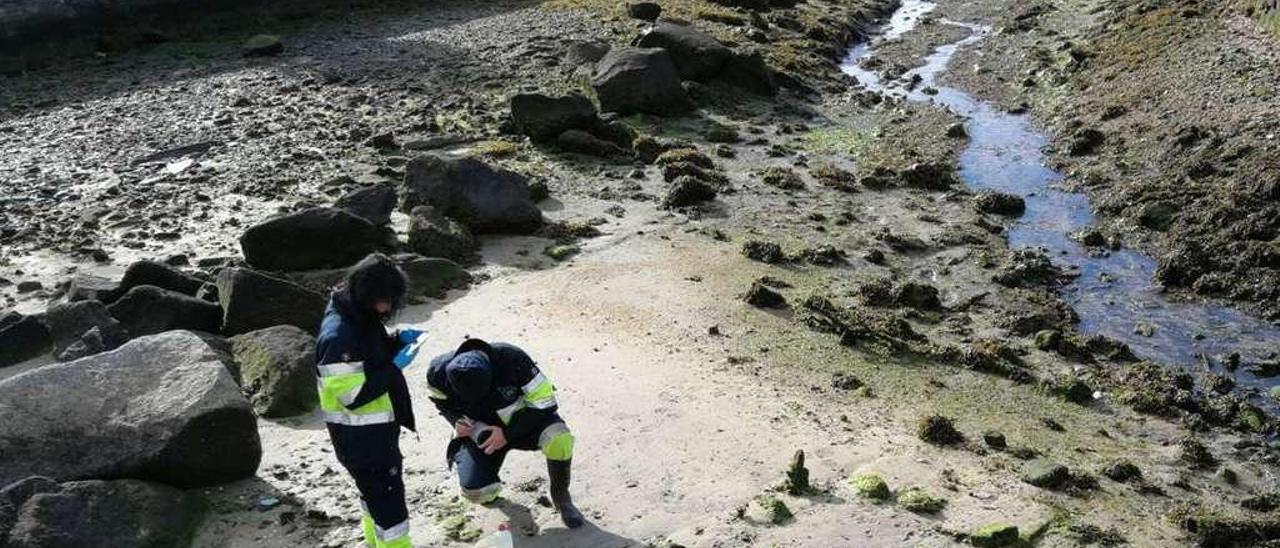 La recogida de muestras de agua que realizaron los técnicos de Augas de Galicia. // G. Núñez