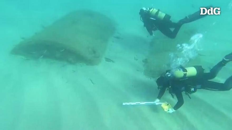 El «Gloria» fa aflorar un vaixell del segle I abans de Crist a les Formigues