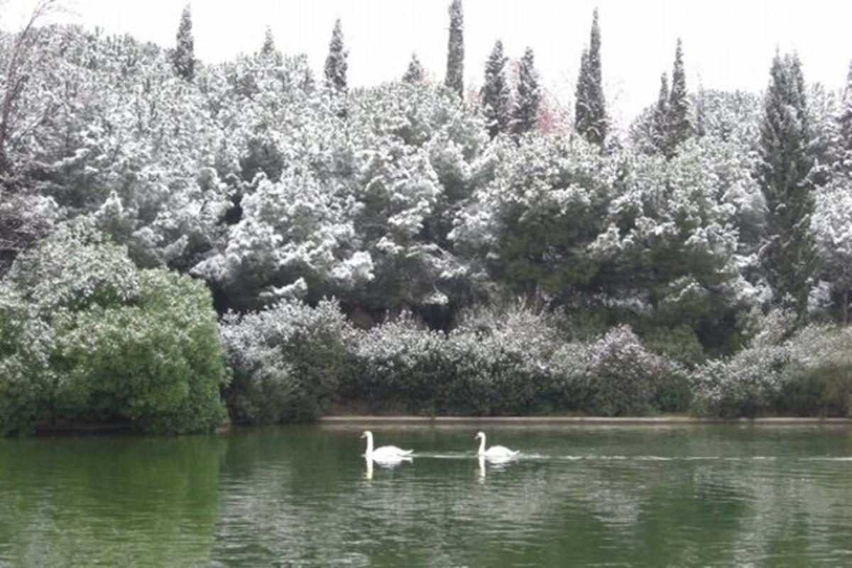 Un estany a Sabadell.