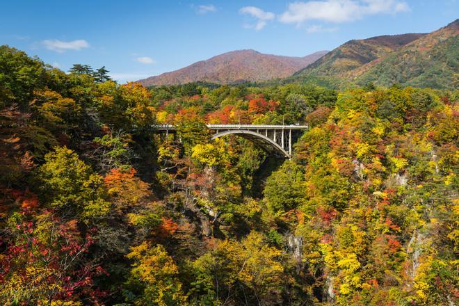 Tohoku, Japon