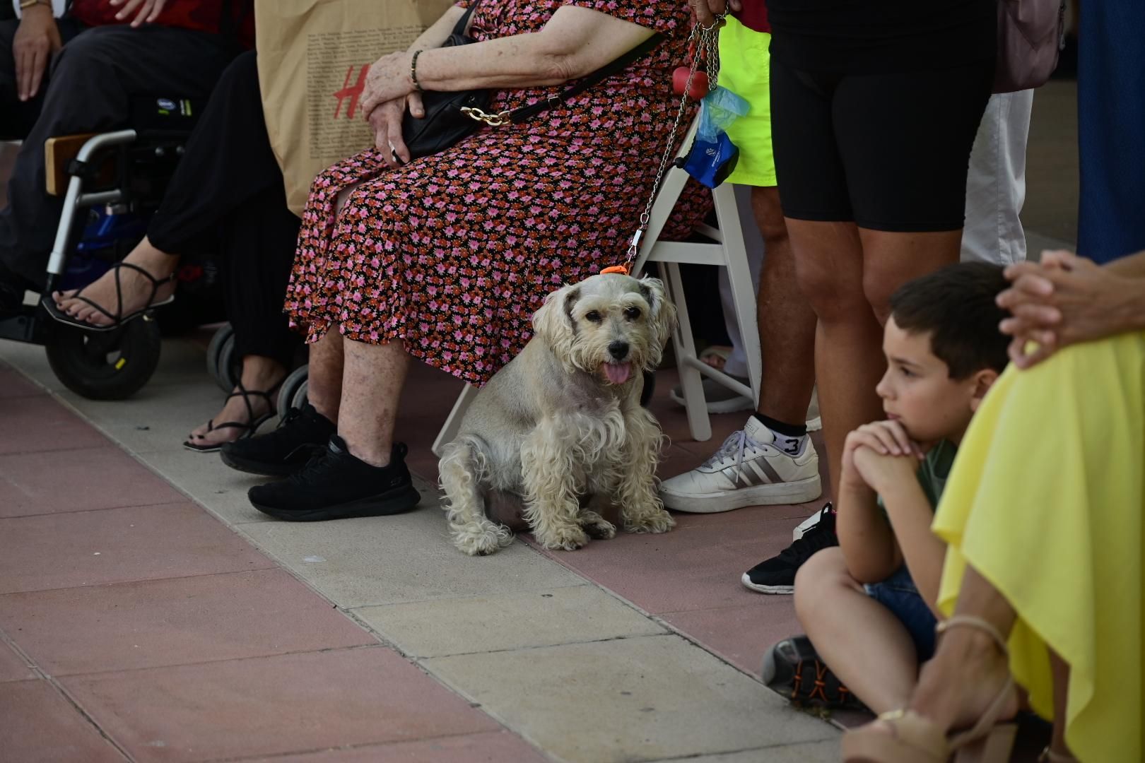 El Moll de Costa se viste de moda con el desfile solidario de Cáritas