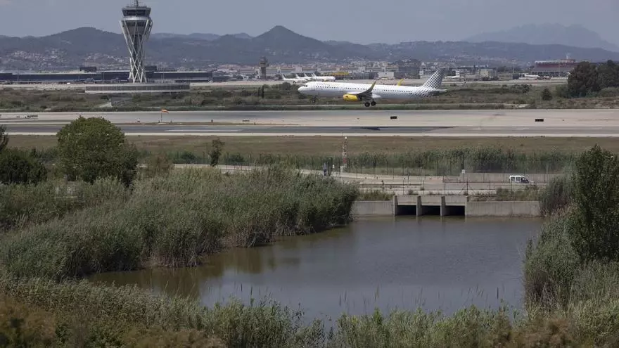 L’ampliació de l’aeroport de Barcelona afectarà 27 hectàrees protegides i un «braç» de la Ricarda