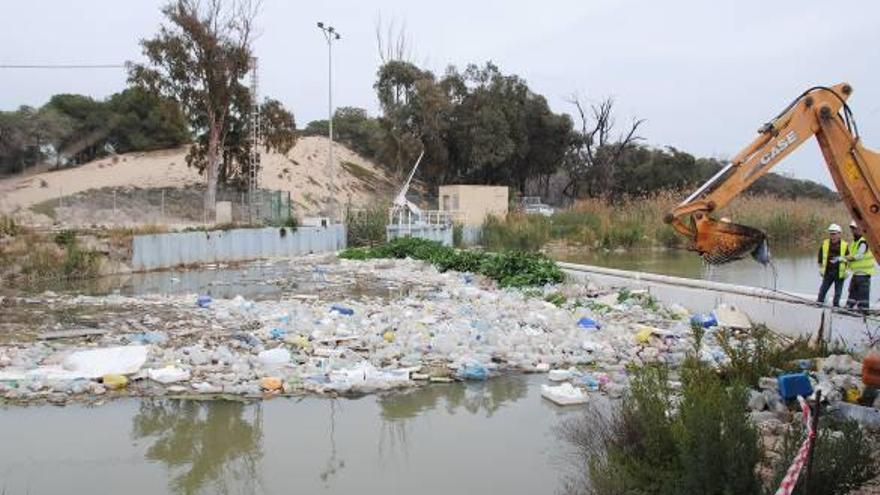 La CHS se ve forzada a retirar toneladas de basura en la desembocadura del Segura