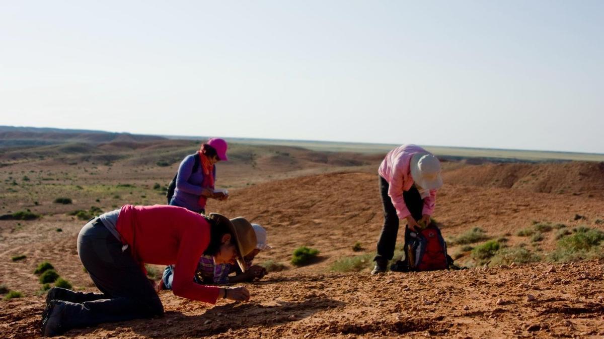 Campaña en el Alto Gobi (Mongolia) liderada por la austriaca Gudrun Daxner-Höck y con un equipo totalmente integrado por mujeres, entre ellas, Adriana Oliver y Paloma López-Guerrero, coautoras del trabajo.
