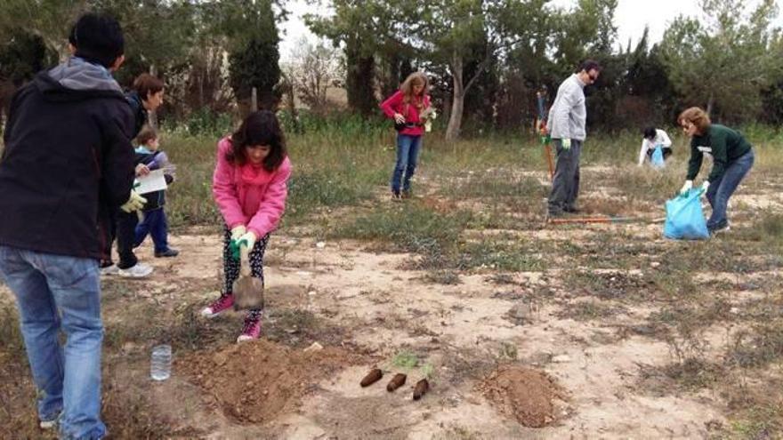 Reforestación y limpieza en la Cañada Real