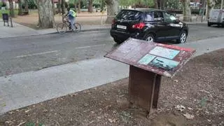 Els estornells converteixen l’avinguda Perpinyà de Figueres en un femer intransitable