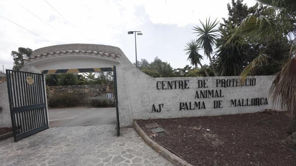 Centro de Proteccion Animal de Son Reus.
