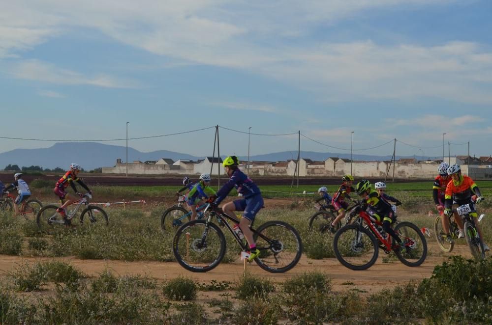 La Aljorra BMX