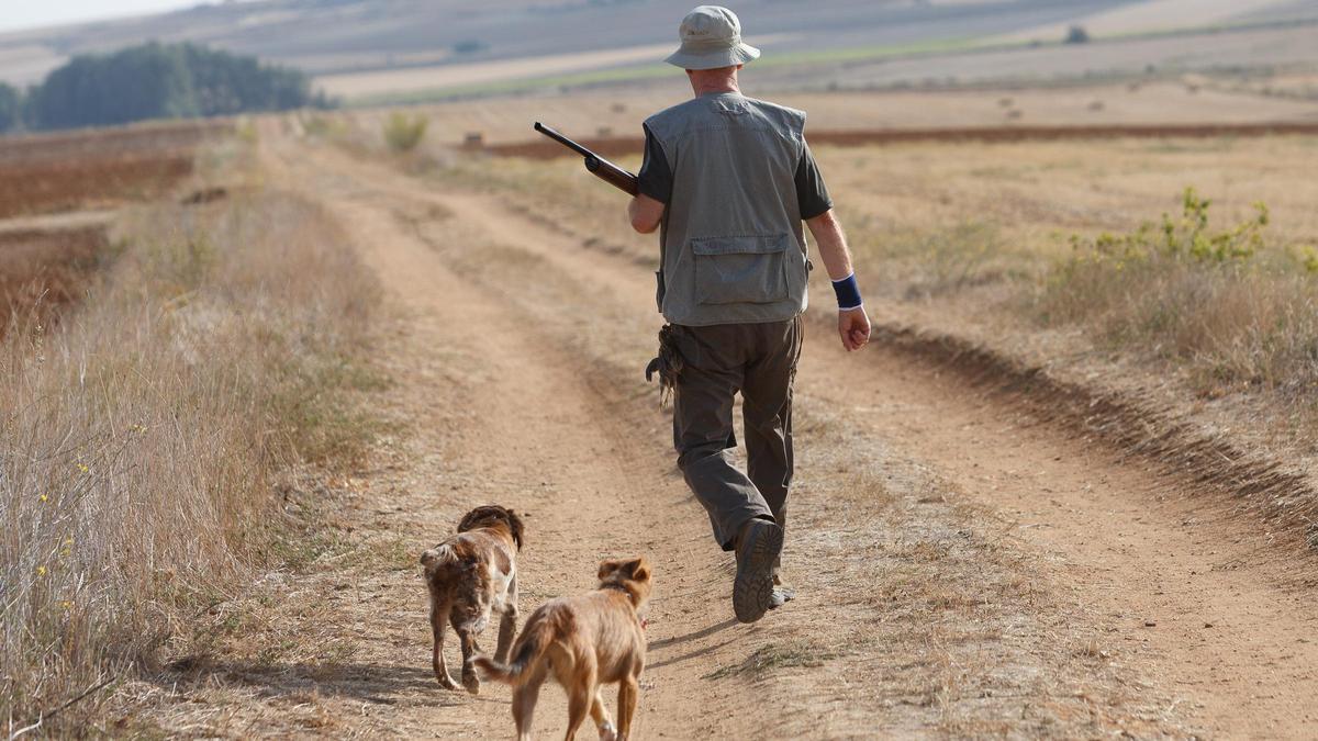 Un cazador junto a sus dos perros