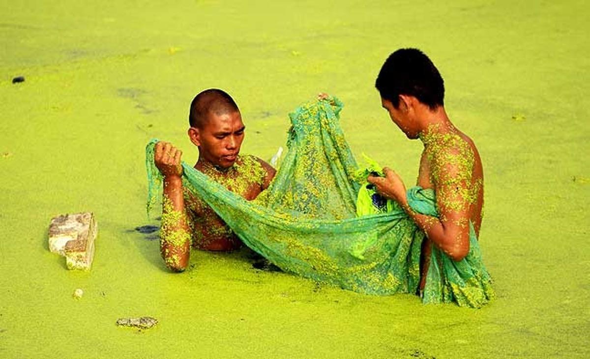 Dos pescadors treballen en un riu cobert per nimfeàcees, als afores de Paranaque, al sud de Manila (Filipines).