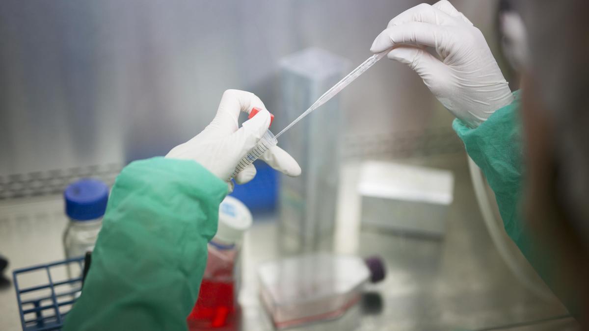 Imagen del laboratorio del IRB Barcelona, que ha participado en el descubrimiento de un fármaco dirigido a células madres cancerosas de tumores sólidos.