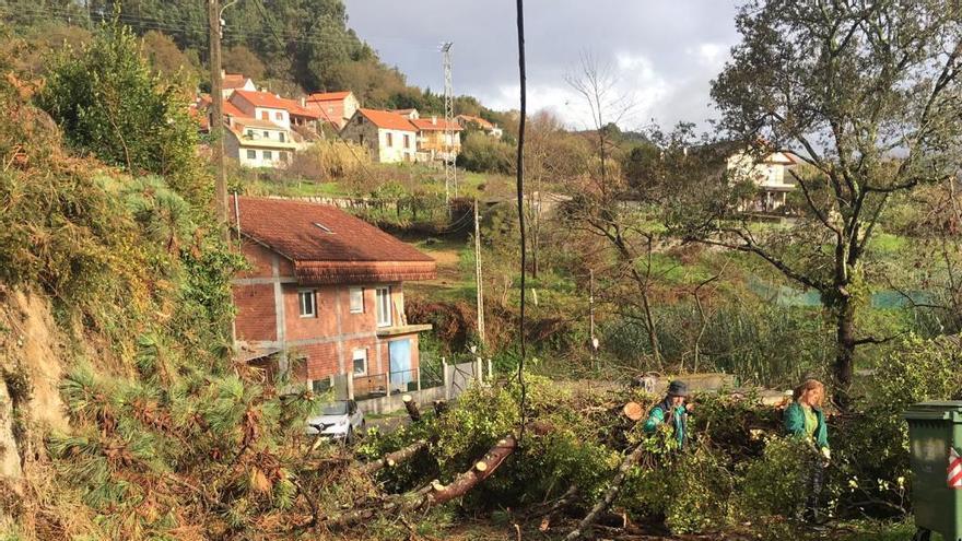 Operarios de la brigada municipal, trabajando en la retirada del árbol. // G.N.