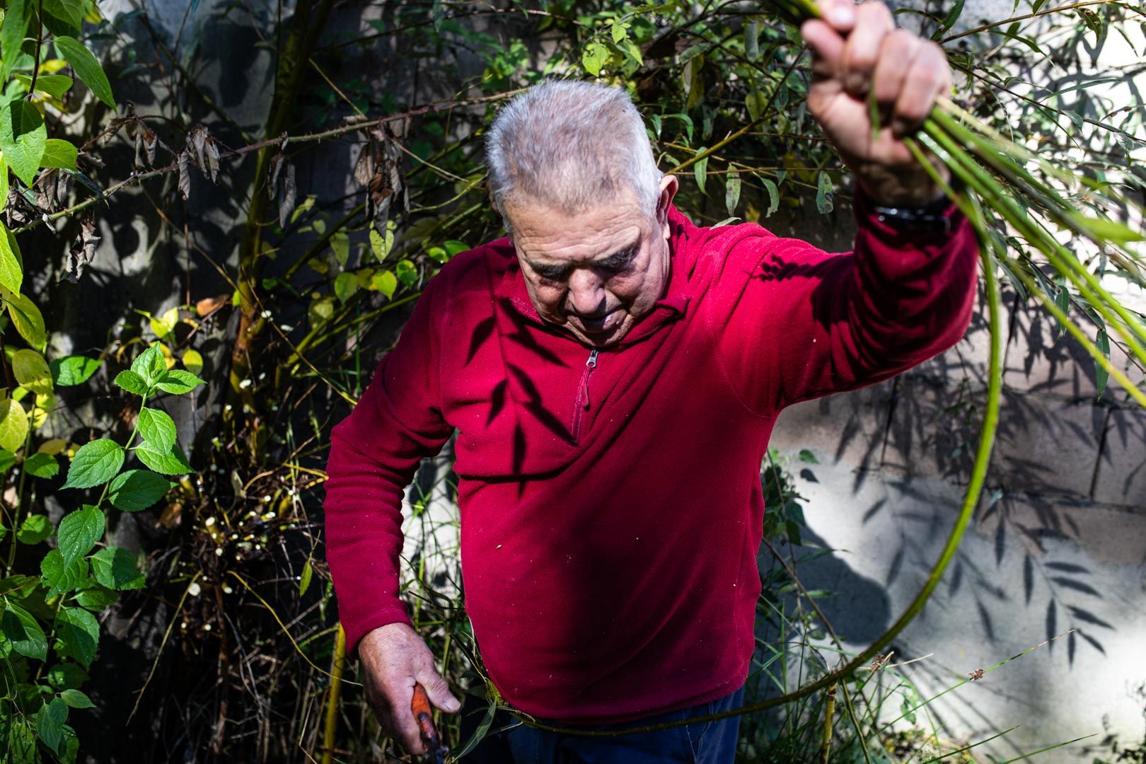 Eladio, el último mimbrero de Zamora