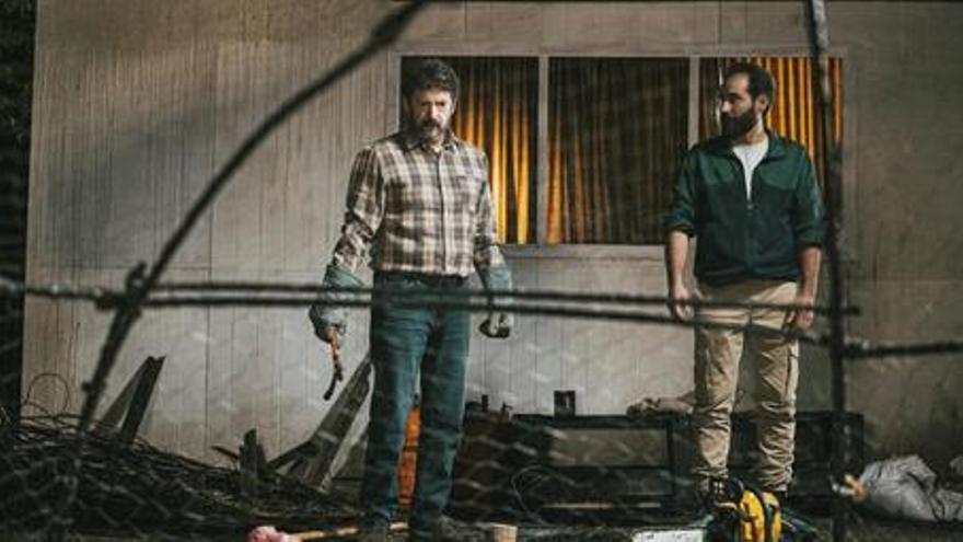 El cielo de los animales