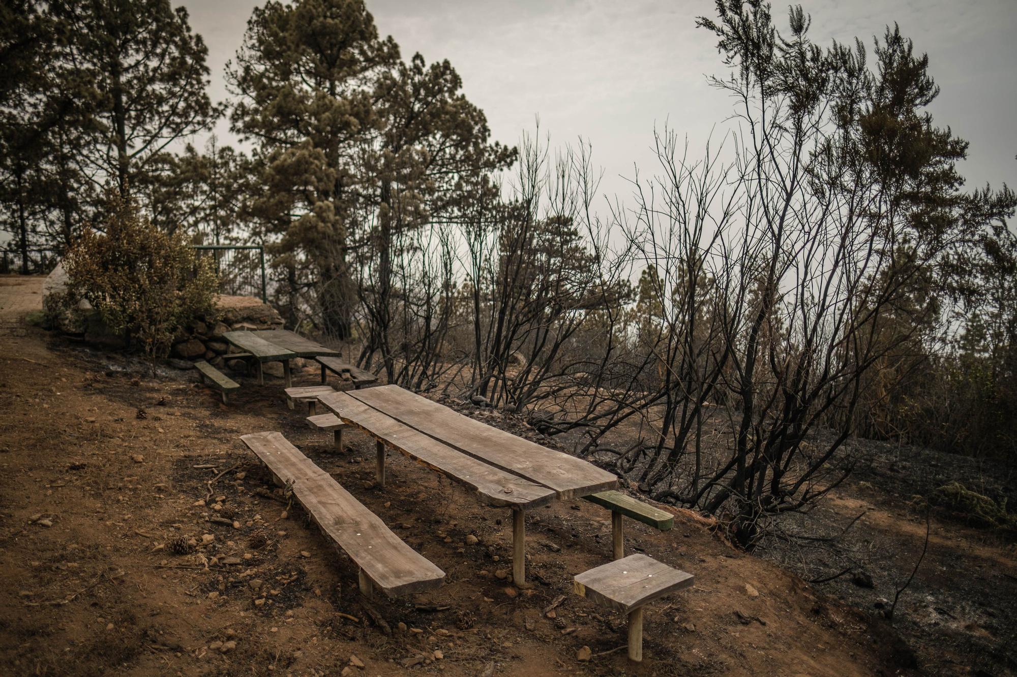 Imágenes de este domingo del incendio de Tenerife.