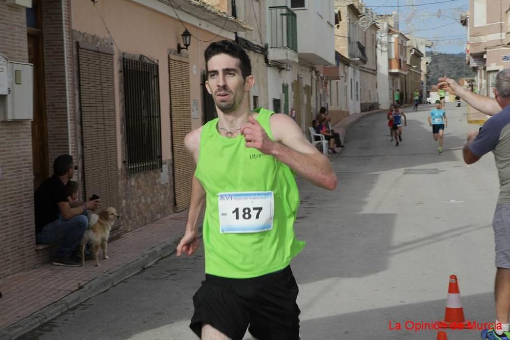 Carrera Virgen del Rosario de Barinas