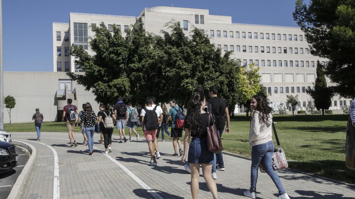 Estudiantes en el campus de Sant Joan d'Alacant de la UMH.